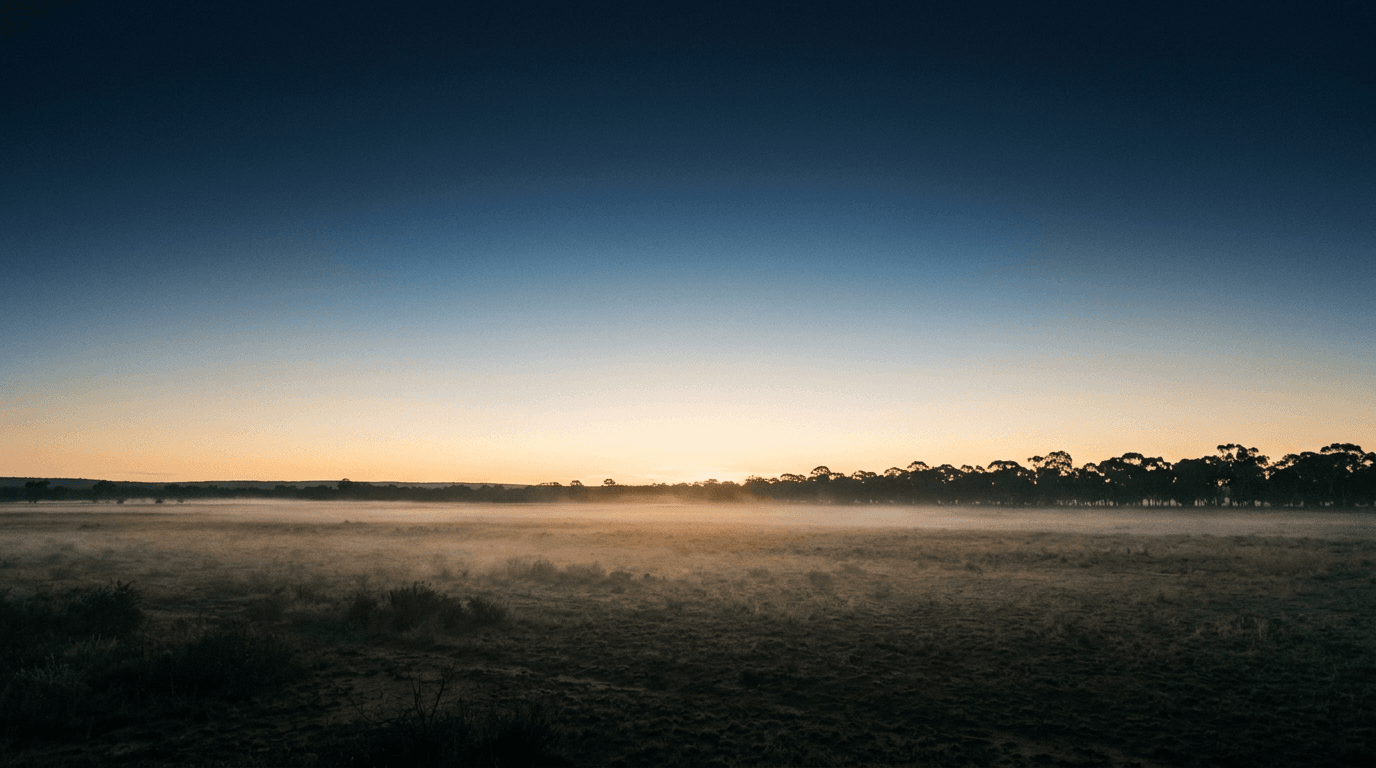 Open horizon at sunrise with soft mist and warm light